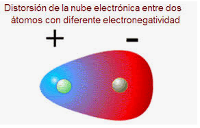 Bioelementos y Biomoleculas | Quizizz