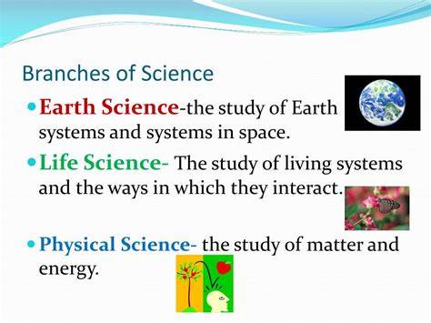 Branches Of Science | Science - Quizizz