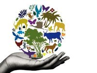 biodiversity and conservation - Grade 11 - Quizizz