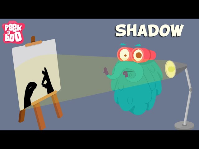 shadows-and-light-science-quiz-quizizz