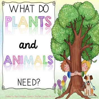 Grade 4 - Science - Plant and Animal Needs - Quizizz