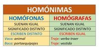 Homófonos y homógrafos Tarjetas didácticas - Quizizz
