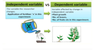 dependent variables - Year 8 - Quizizz