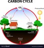 Photosynthesis and Cellular Respiration