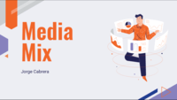 Media Mix