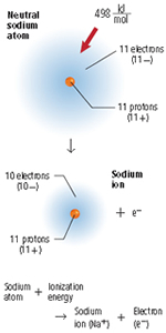 Chapter 7 Ionic Bond And Metals Section 1-2 | 65 Plays | Quizizz