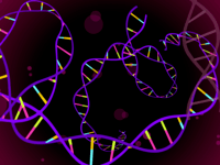 struktur dan replikasi DNA - Kelas 7 - Kuis