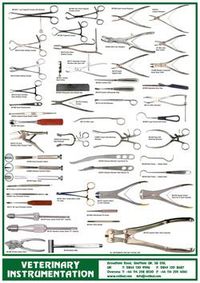 Surgical Instruments - Year 1 - Quizizz