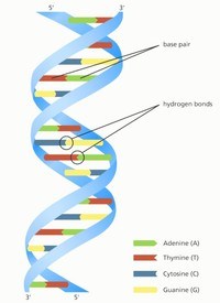 Trình tự và chuỗi - Lớp 12 - Quizizz