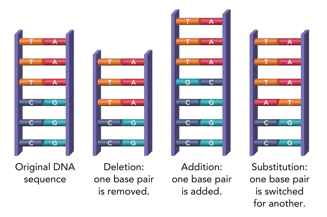 genetic mutation - Grade 6 - Quizizz