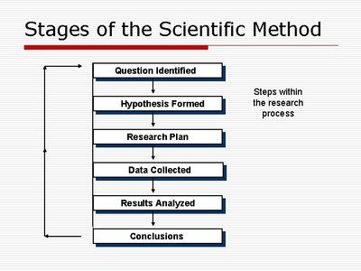 Writing Thesis Statements questions & answers for quizzes and ...