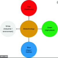 biotechnology - Year 6 - Quizizz