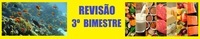 Ciências do Ensino Médio - Série 9 - Questionário