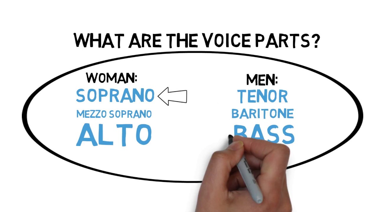 Voice Types - VOCAL TIMBRE