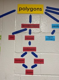 2D Shapes - Class 5 - Quizizz