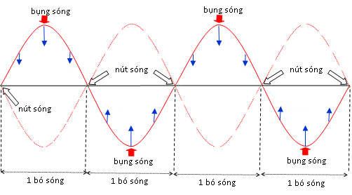 Sóng - Lớp 1 - Quizizz