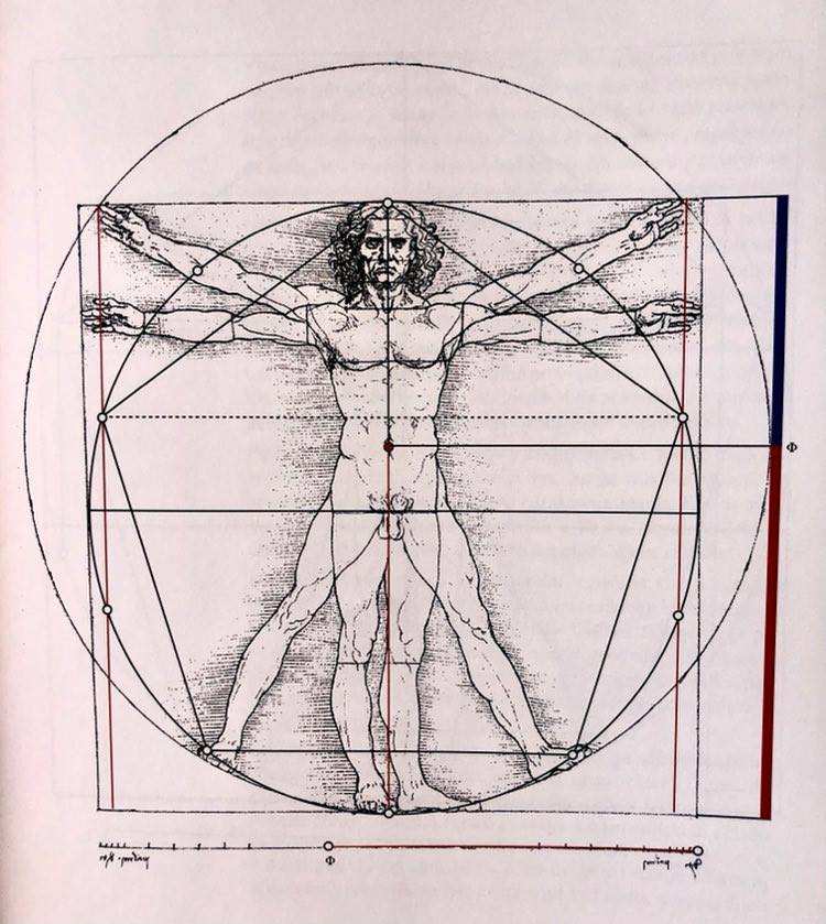 Golden Ratio 65 Plays Quizizz