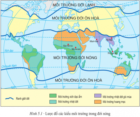 nón - Lớp 7 - Quizizz