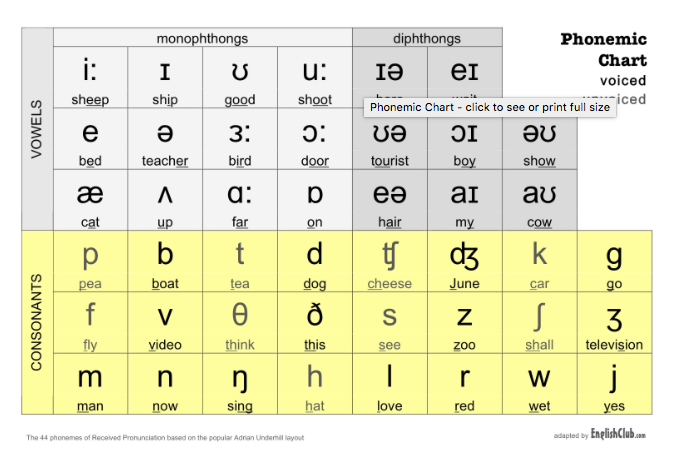 international phonetic alphabet quiz english quizizz