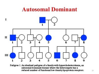 pedigree chart autosomal dominant