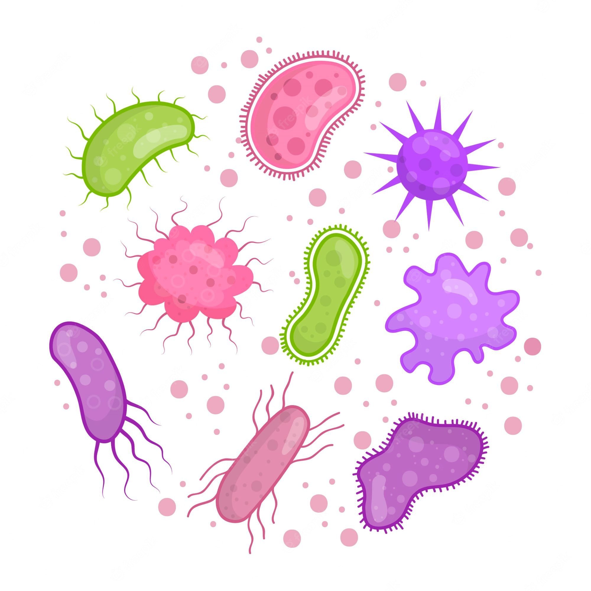 bactérias e arquéias - Série 11 - Questionário