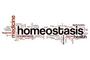 Homeostasis