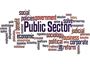 The Public Sector