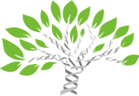 evolução e a árvore da vida Flashcards - Questionário