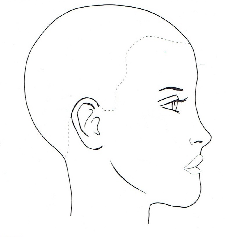 Profile twarzy. | Other - Quizizz