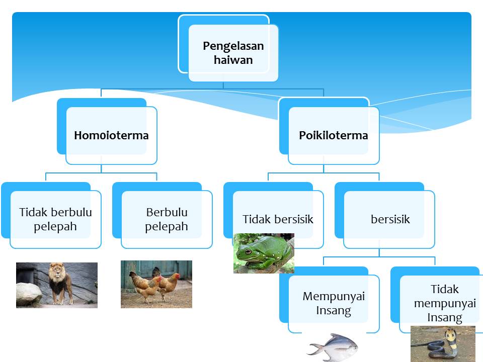 Kekunci Dikotomi Science Quizizz