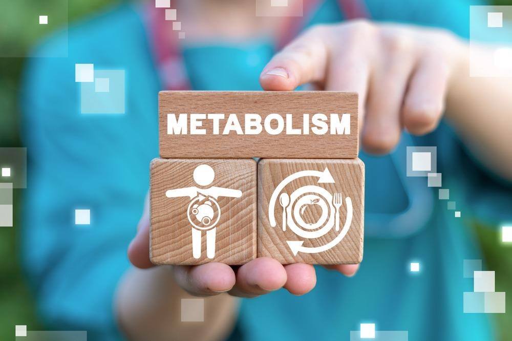 metabolism Flashcards - Quizizz