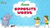 Identifying Opposites Flashcards - Quizizz