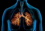 Respiratory System- Medical Terminology