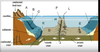 deep ocean floor diagram