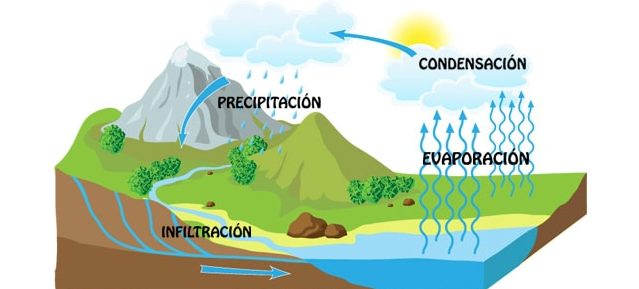 movimientos del agua del océano Tarjetas didácticas - Quizizz