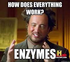 enzymes Flashcards - Quizizz