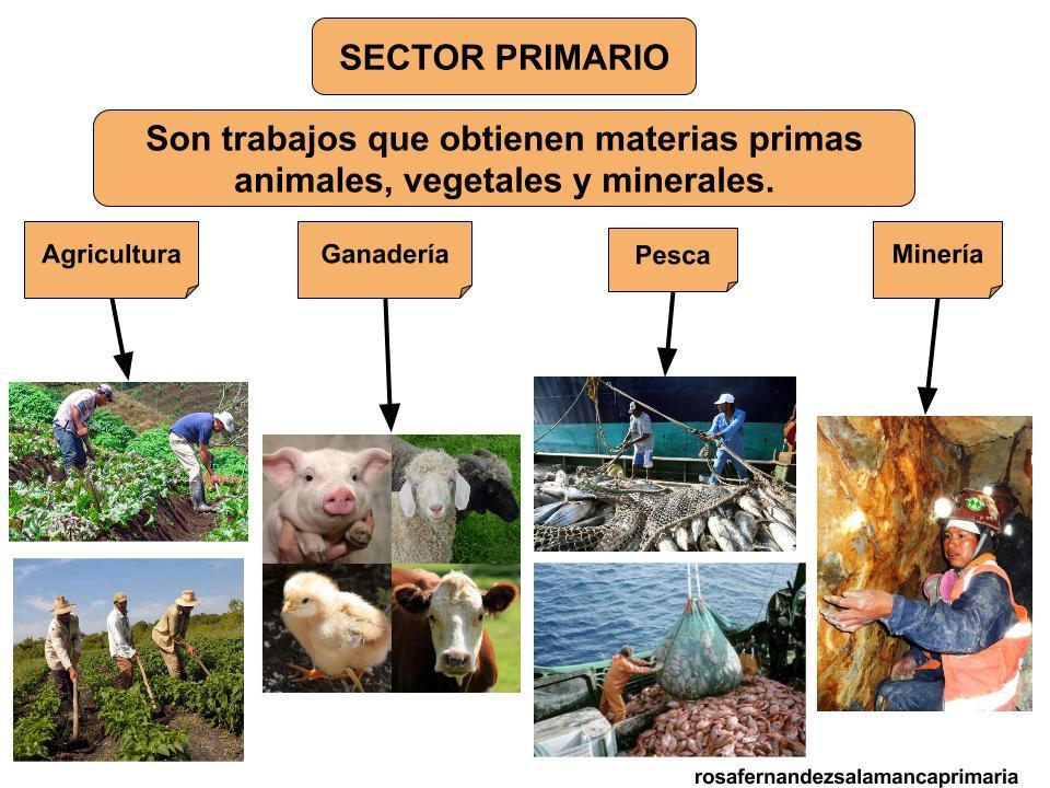 Distribución de las actividades económicas primarias mund