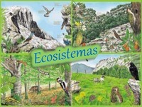 ecosistemas Tarjetas didácticas - Quizizz