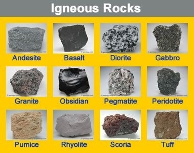 Quizizz rocks