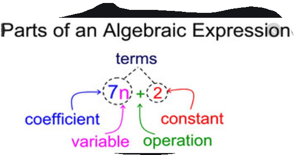 Algebraic expressions and parts of an expressions