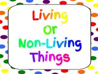 living and non living things - Year 1 - Quizizz
