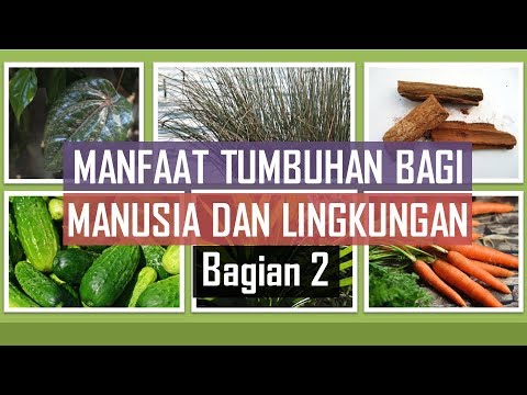 biaya dan manfaat - Kelas 6 - Kuis