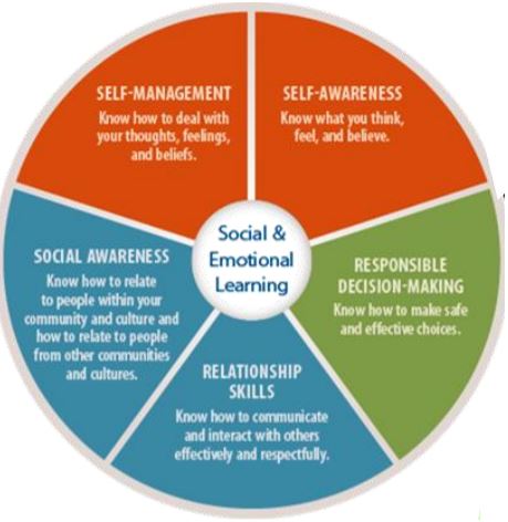 SEL 5 Competencies | Life Skills - Quizizz