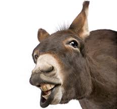 Balaam's Talking Donkey | Quizizz