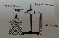 hai bất đẳng thức biến - Lớp 11 - Quizizz