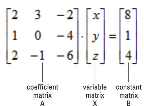 Multiplicación con matrices - Grado 10 - Quizizz