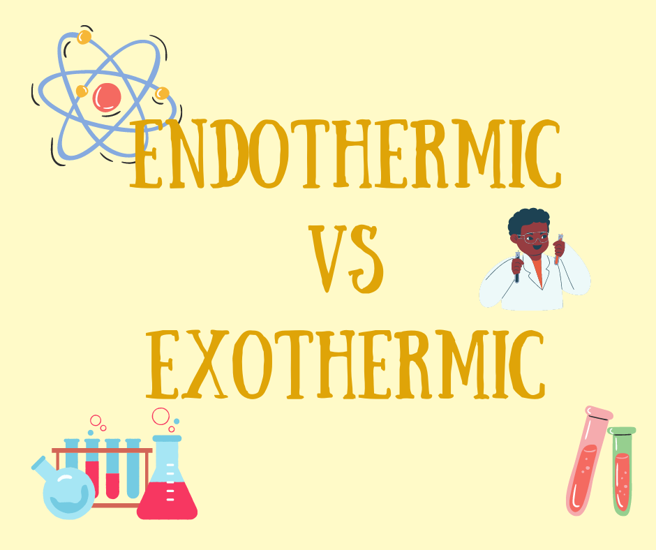 Endothermic Vs Exothermic Reaction Science Quizizz Hot Sex Picture