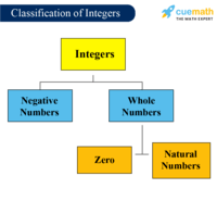 Integers and Rational Numbers - Year 1 - Quizizz