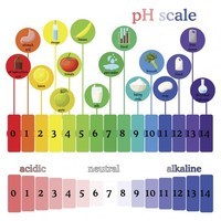 acid base reactions - Grade 4 - Quizizz