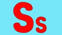 The Letter S Flashcards - Quizizz